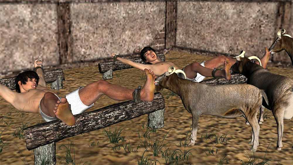 ১৫০২ সালে ফ্রানসিসকাস ব্রুনাস দি সান সেভেরিনো নামে এক ইটালীয় জুরি তথা সন্ন্যাসীর বইয়ে এই পদ্ধতির বর্ণনা রয়েছে। যদিও বাস্তবেই এ ভাবে অত্যাচার চলত নাকি তা ব্রুনাসের কল্পনাপ্রসূত, তা নিয়ে তর্ক রয়েছে। অনেকের দাবি, অত্যাচারের ভুক্তভোগী খোদ ব্রুনাস।