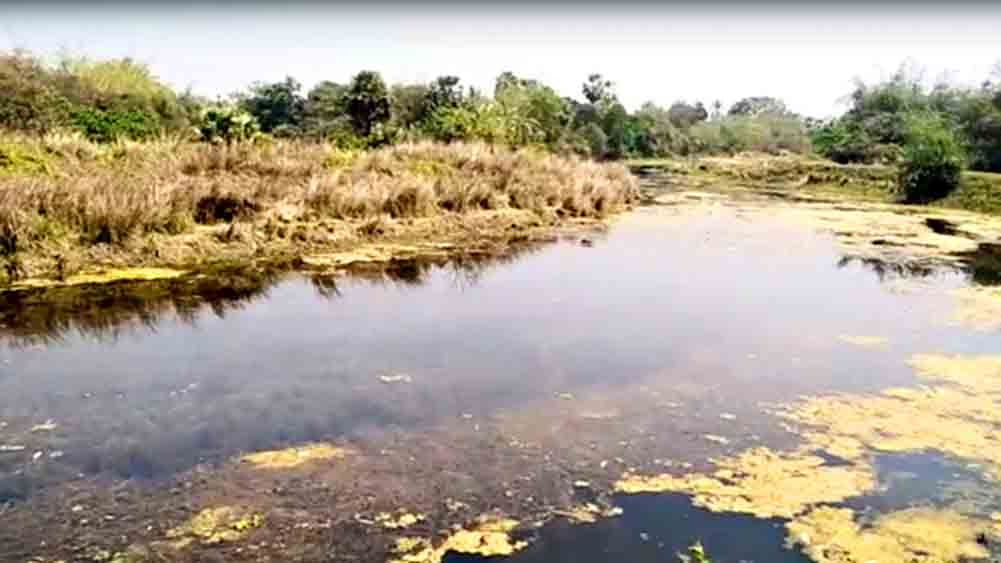 বর্তমানে ওই নদের অবস্থা ।