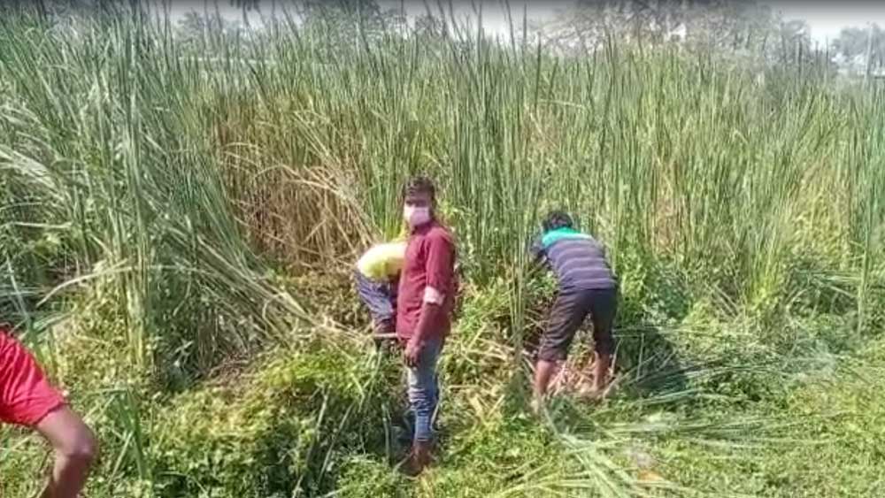 হোগলাবনের ভিতরে মিলেছে একটু পুরনো মোবাইল ফোন। তার ভিতরে যদিও কোনও সিম ছিল না।