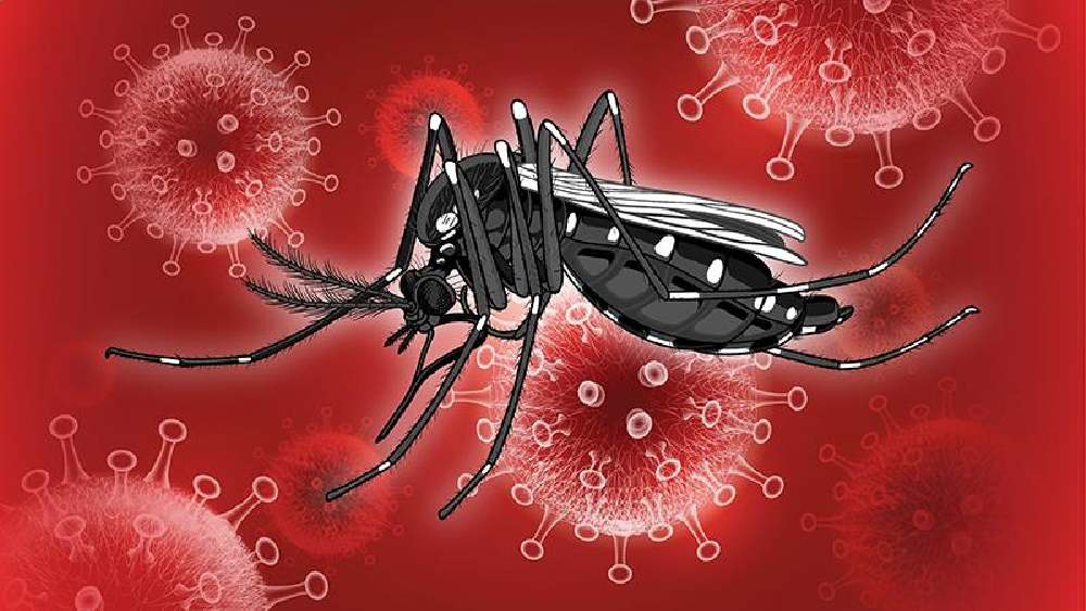 প্রতীকী ছবি।