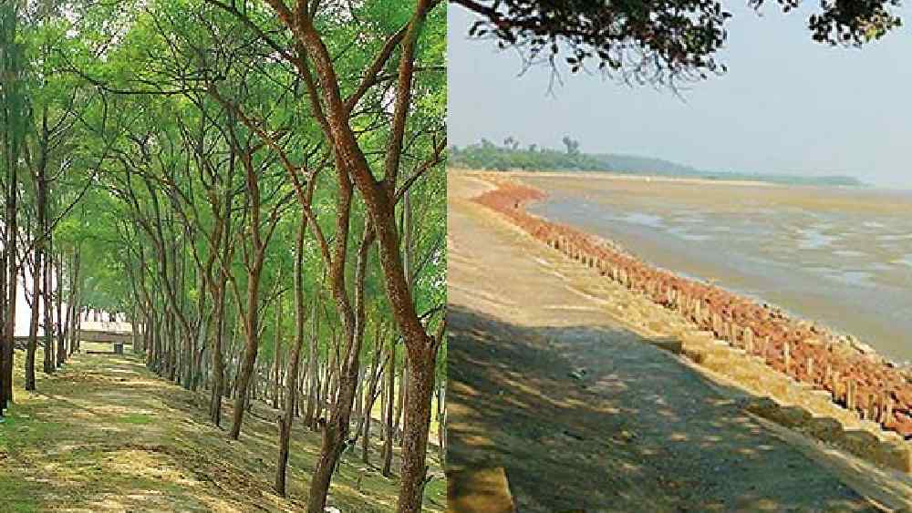 বাঁকিপুট।