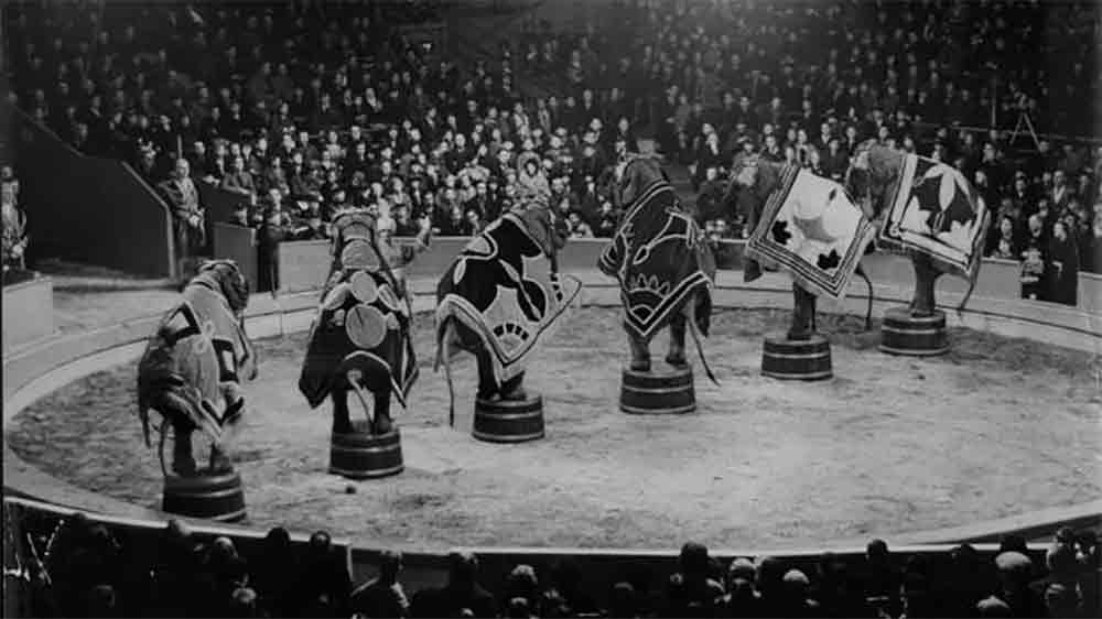 মেরির দেখাশোনার জন্য স্থানীয় এক অস্থায়ী হোটেলকর্মীকে কাজ দিয়েছিলেন চার্লি। যদিও ওয়াল্টার রেড এলড্রিজ নামে ওই কর্মী হাতিদের দেখাশোনার বিষয়ে তেমন অভিজ্ঞ ছিলেন না। ১১ সেপ্টেম্বর ১৯১৬ তাঁকেই ‘খুন’ করেছিল মেরি। কী ভাবে?  তা নিয়ে একাধিক দাবি রয়েছে।