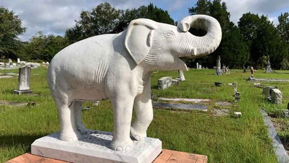 আরও একটি কথা জানা গিয়েছিল। মেরির কানের পিছনে ঠিক যেখানে ওয়াল্টার খোঁচা দিয়েছিলেন, সেখানে সংক্রমণের জেরে আগে থেকেই যন্ত্রণায় কাতর ছিল মেরি!