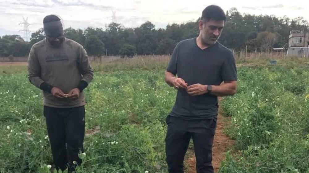 নিজের বাগানবাড়িতে ধোনি