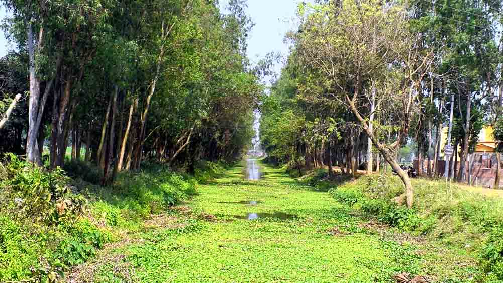 speculation regarding repair of cannal of Kangshabati river