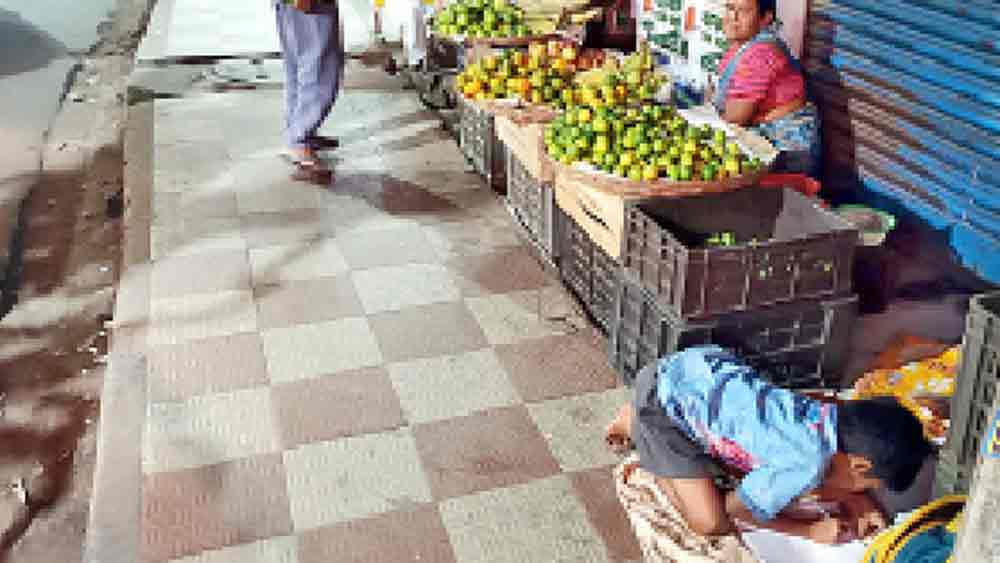 একাগ্র: মায়ের ফলের দোকানের পাশে বসে পড়ছে সঞ্জয়। 