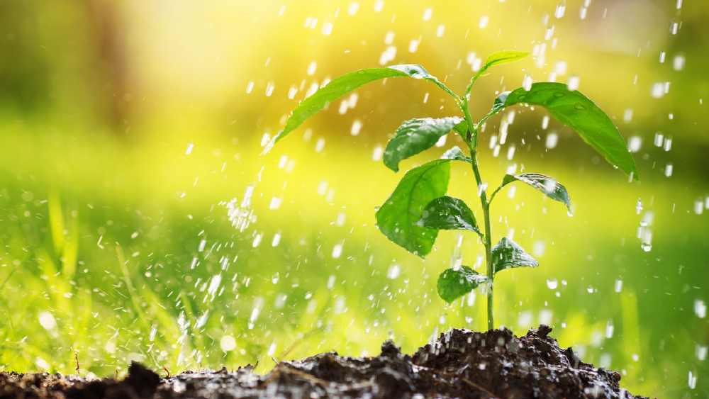 প্রতীকী ছবি