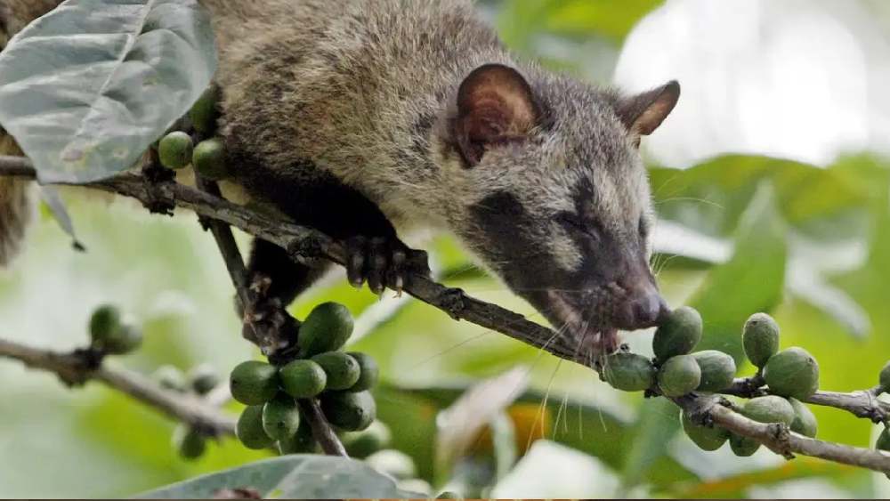 প্রতীকী ছবি।