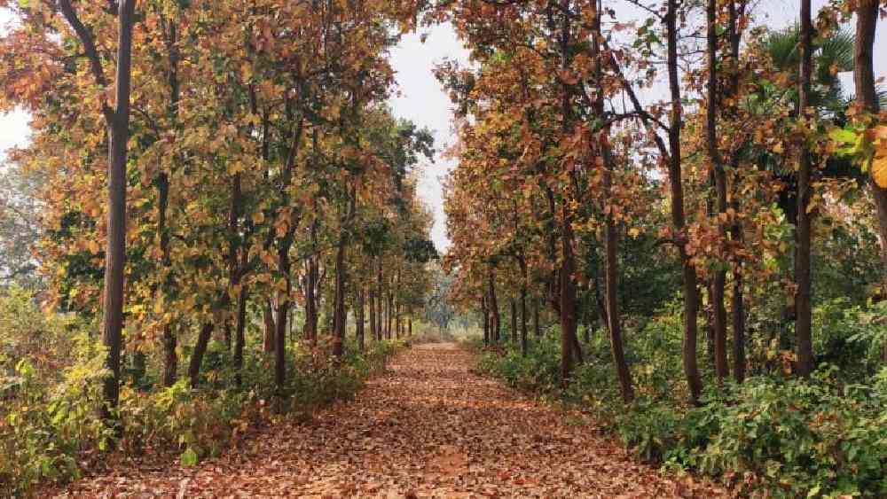 প্রতীকী ছবি।