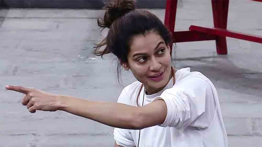 এক বার তো সলমন খানের রিয়েলিটি শো ‘বিগ বস্‌’ নিয়ে পায়েল মন্তব্য করেছিলেন, আমিশা পটেল, কোয়েনা মিত্র, রেশমি দেশাই এবং সিদ্ধার্থ শুক্লের মতো বেকার লোকজনই ওই শোয়ের প্রতিযোগী হয়েছেন। এমনকি, সে সময় তাঁর নিজের হাতের বিশেষ কাজ ছিল না বলেই ওই শোয়ে এসেছেন বলে মন্তব্য করেন তিনি। স্বাভাবিক ভাবেই তা নিয়ে কম শোরগোল হয়নি।