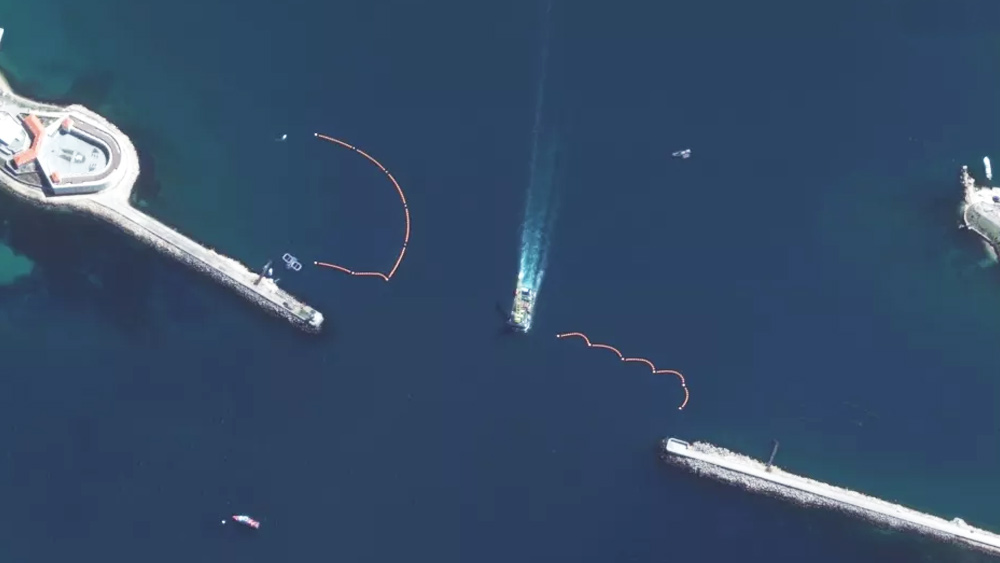 বেশ কয়কেটি প্রতিবেদনে দাবি করা হয়েছে, গত ফেব্রুয়ারিতে ইউক্রেনে রাশিয়ার সামরিক অভিযান চালানোর পর থেকেই সেভাসটোপোল নৌঘাঁটিতে ডলফিনের দু’টি দলকে মোতায়েন করেছে রাশিয়া।