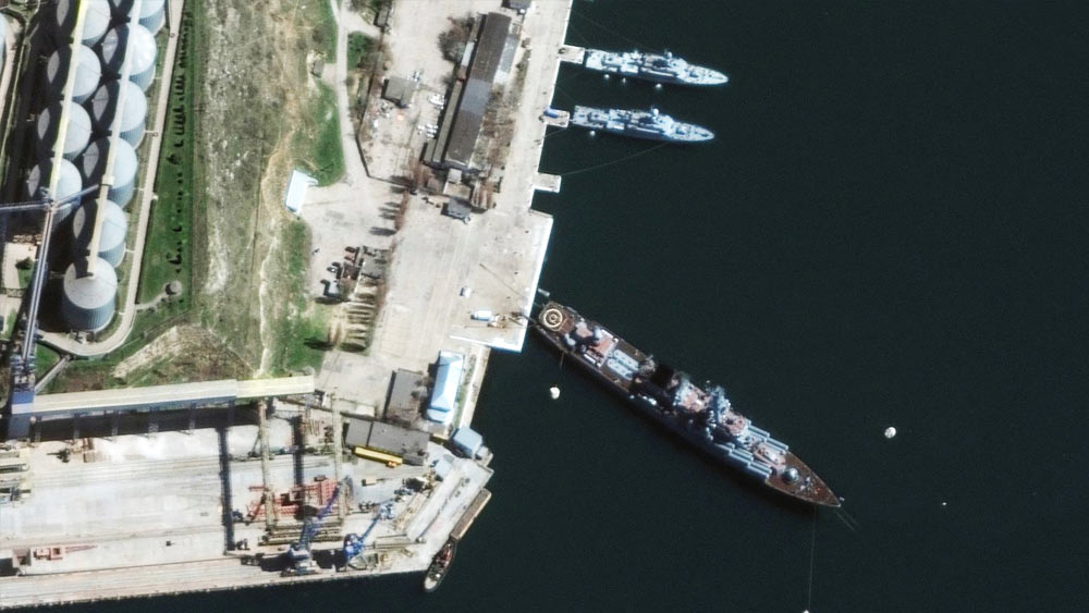 নৌঘাঁটিতে থাকা রণতরীগুলিকে সমুদ্রের নীচ থেকে হামলার হাত থেকে বাঁচাতেই নাকি এই ডলফিনের দলকে মোতায়েন করা হয়েছে। সেভাসটোপোল বন্দরে ঢোকার কিছুটা আগে সর্ব ক্ষণ কড়া নজর রাখছে রুশ ডলফিন।