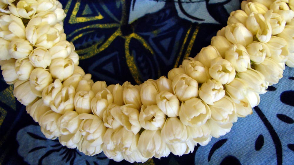 বিঠ্‌ঠনের দেখাশোনার ভার পড়ে এক মাসির উপর। সেখানেই বিঠ্‌ঠন জানতে পারেন, তাঁর বাবার সঙ্গে পুরনো শত্রুতার জেরে তাঁকে অপহরণ করা হয়। অপহরণ করেন মেওয়ালাল নামে এক ব্যক্তি। রাখা হয়েছে বাইজিবাড়িতে।