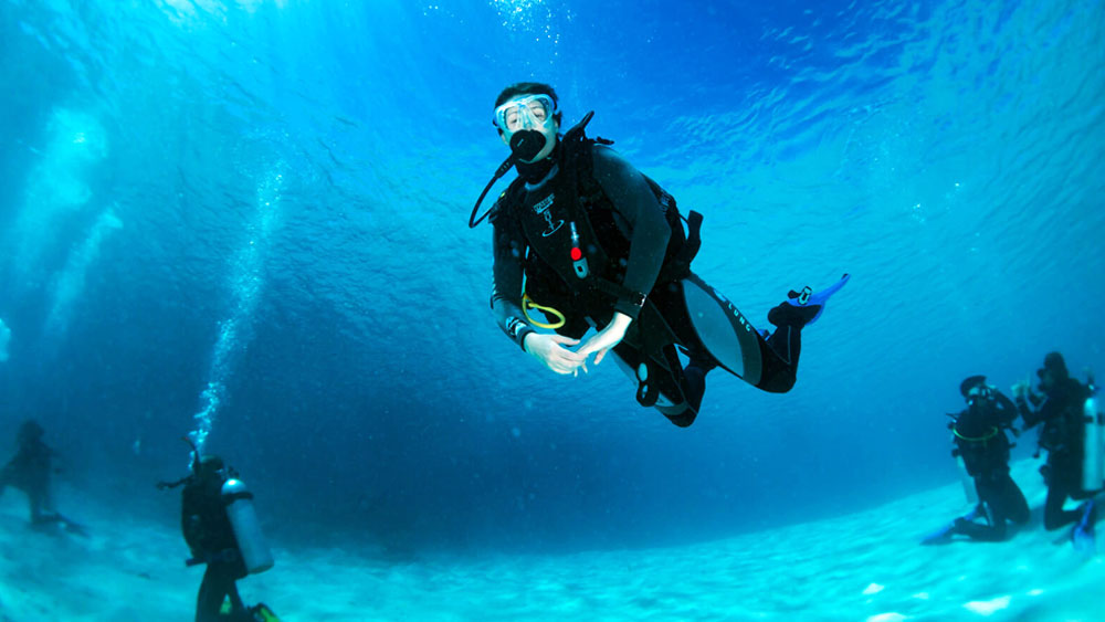 সেনাবাহিনীর কাজে ডলফিনকে কাজে লাগানোর প্রক্রিয়া অবশ্য রাশিয়ায় প্রথম নয়। এর একটি ইতিহাস আছে। শত্রুপক্ষের ডুবুরিকে চিহ্নিত করা বা সমুদ্রে নীচে কোনও বিস্ফোরক এমনকি কোনও বস্তুকে উদ্ধার করে নিয়ে আসার কাজে প্রশিক্ষণ দেওয়া হয় ডলফিনগুলিকে।