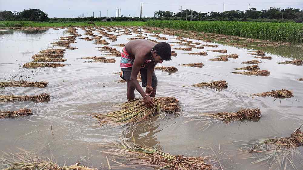 প্রবল ঝড়ে কখনও কখনও ধন-প্রাণের ক্ষতি হলেও জলবায়ুর দিক থেকে কালবৈশাখীর গুরুত্ব অপরিসীম। পাশাপাশি, ঝড় যদি অল্প হয়, তবে সেই বৃষ্টিতে আম ও পাটের ফলন ভাল হয়।