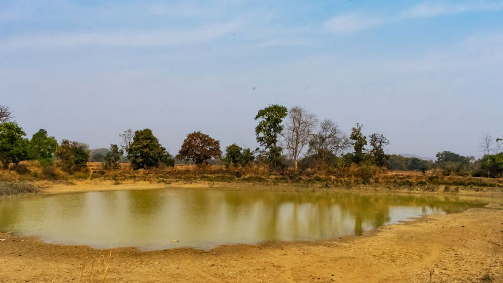 ভূমি ও জলাশয় সারা দিন উত্তপ্ত হয় বলেই বিকেলের দিকে কালবৈশাখী সৃষ্টি হয়। অন্যান্য ঝড়ের সঙ্গে কালবৈশাখীর মূল পার্থক্যই হল কাল বৈশাখীতে ঝড়ের সঙ্গে সঙ্গে সব সময়ে বিদ্যুত চমকায়।