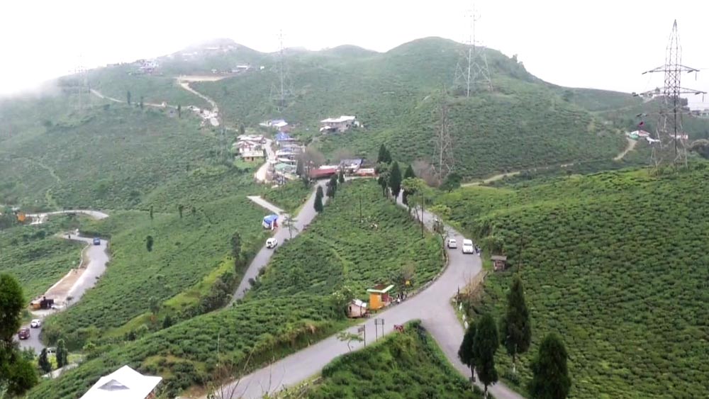 প্রতি দিন দার্জিলিং, কালিম্পং, কার্শিয়াং, সান্দাকফু, লাভা-সহ বিস্তীর্ণ পার্বত্য এলাকায় ভিড় জমছে 