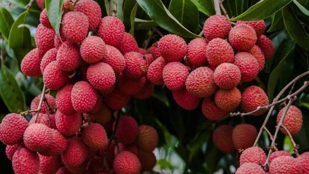 প্রতীকী ছবি।