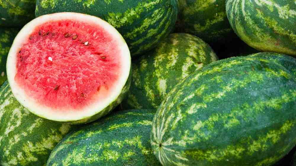 প্রতীকী ছবি।