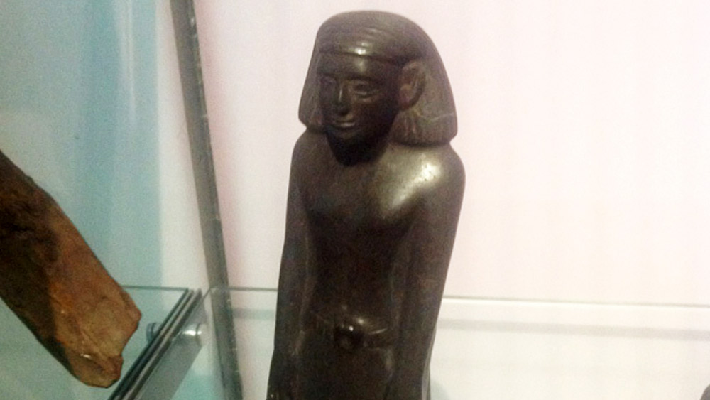 বিষয়টি খতিয়ে দেখতে মূর্তির সামনে ক্যামেরা লাগানোর সিদ্ধান্ত নেওয়া হয়। পরের দিন ক্যামেরাতে যা ধরা পড়ে, তা দেখে হতকচিত হন অনেকেই।