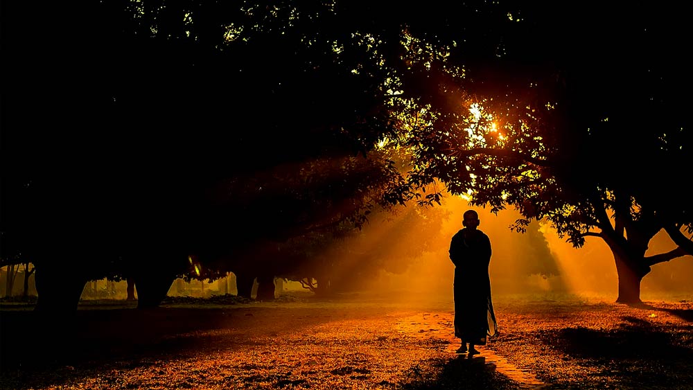 মিশনের ওই সন্ন্যাসী অনুসন্ধান শুরু করেন। তার পর সেখান থেকে বহু দূরে রাজপুতানার এক প্রত্যন্ত গ্রামে খুঁজে পেয়েছিলেন সেই বাঈকে। তিনি তখন বৃদ্ধা। ছোট্ট কুটিরে থাকেন। একা। তাঁর সঙ্গে থাকেন তাঁর সারা জীবনের আরাধ্য দেবতা— গিরিধারী শ্রীকৃষ্ণ এবং স্বামী বিবেকানন্দ। পটে আঁকা ছবির সামনে তিনি গান শোনান। পুজো করেন। নিজের সন্তানের মতো খাওয়ান। ঘুম পাড়ান...।