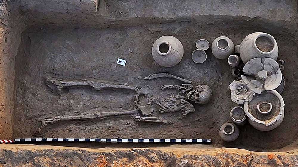 অবশেষে ৩২ বছর পর মিলল সাফল্য। খননকার্যে উঠে এসেছে ঘর, বড় রান্নাঘর এবং একটি বড় গয়নার কারখানা। এই সব নিদর্শন দেখে গবেষকরা মনে করছেন, ওই অঞ্চলটি সিন্ধু আমলের একটি গুরুত্বপূর্ণ বাণিজ্যকেন্দ্র ছিল।