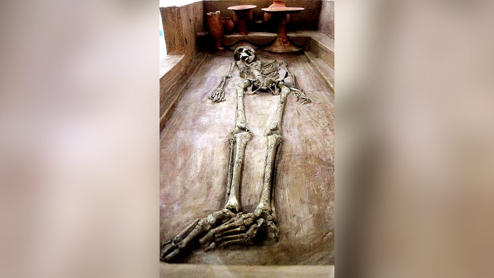 রাখিগঢ়ীতে ধারাবাহিক খননকার্যের ফলে উঠে আসছিল সিন্ধু আমলের নানা নিদর্শন। তাই গবেষকরা মনে করছেন, সিন্ধু সভ্যতা ধাপে ধাপে উন্নয়নের পথে এগোচ্ছিল।