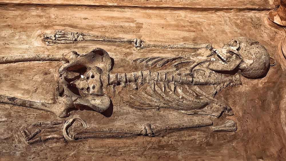  এএসআইয়ের গবেষকরা মনে করছেন, ওই খুলিগুলি পাঁচ হাজার বছরের পুরানো। তাঁদের অনুমান, খুলিগুলি মহিলাদের। কারণ খুলিগুলির কাছে চুড়িও উদ্ধার হয়েছে। 