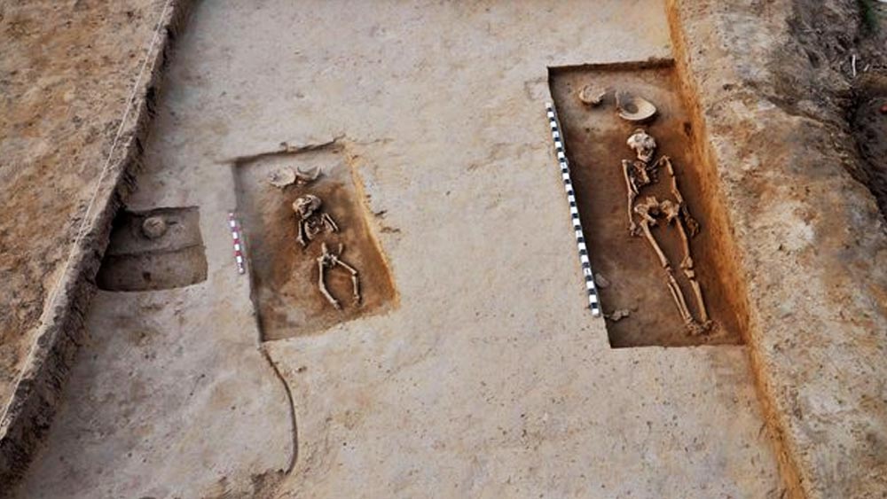  গবেষকরা জানিয়েছেন, রাখিগঢ়ীর খননস্থলে কুড়ি ফুট গভীর থেকে এই খুলিগুলি উদ্ধার হয়েছে।  