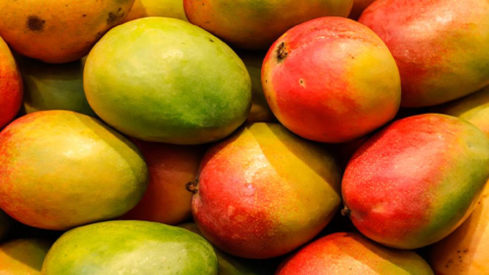 দিনে একটা বা খুব বড়জোর দুটো আম যথেষ্ট। 