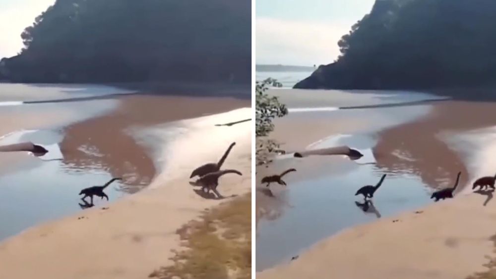 সমুদ্র সৈকতে ঘুরে  বেড়াচ্ছে ডাইনোসর? এই ভাইরাল ভিডিয়ো  কতটা সত্যি?