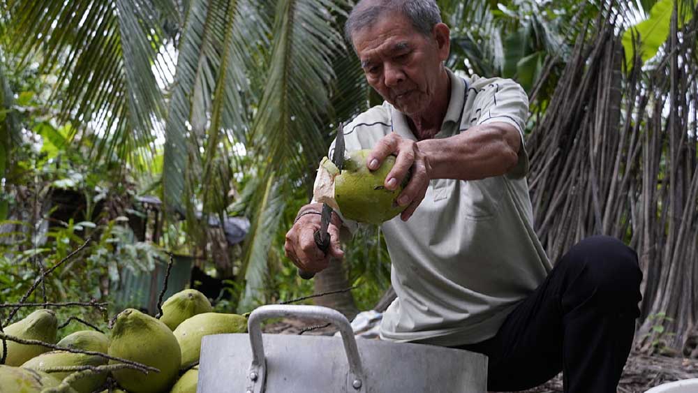 ভিয়েতনামি নারকেল গাছের এক একটি ডাব এবং নারকেল বিক্রি হয় ৩০ টাকায়। পাশাপাশি একটি চারাগাছ বিক্রি হয় পাঁচ থেকে সাতশো টাকায়।