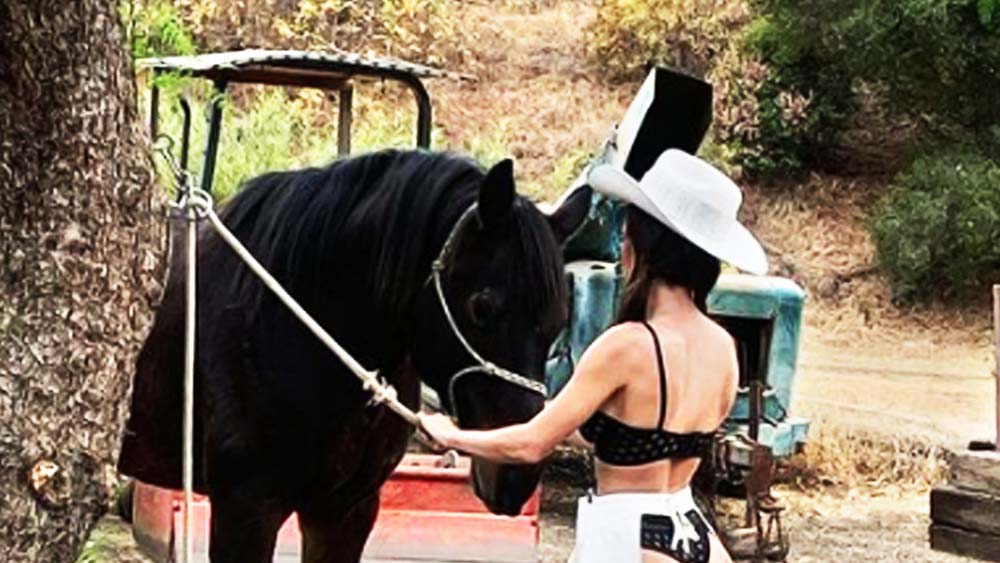 পর্ন ছবিতে কাজ করে অর্থ উপার্জন করার থেকে  নেটমাধ্যমে কাজ করে অর্থ উপার্জন করা বেশি শ্রেয় বলেও তিনি মন্তব্য করেন।