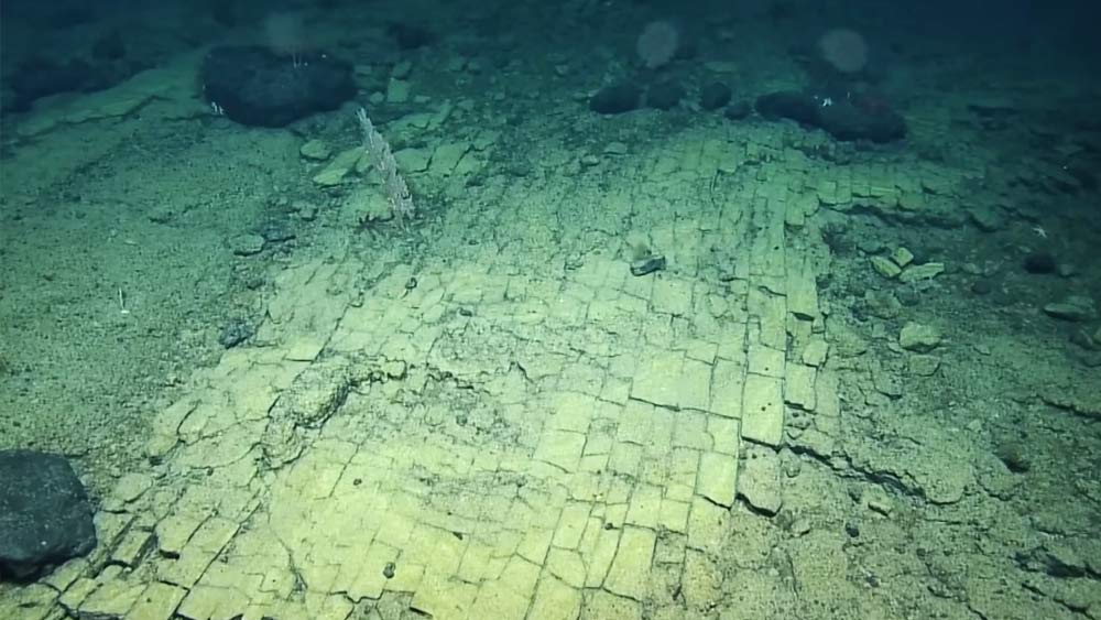 সম্প্রতি প্রশান্ত মহাসাগরের তলায় হলুদ রঙা ইট দিয়ে বাঁধানো একটি রাস্তার সন্ধান পেয়েছেন সমুদ্র গবেষণার সঙ্গে যুক্ত এক দল বিজ্ঞানী।