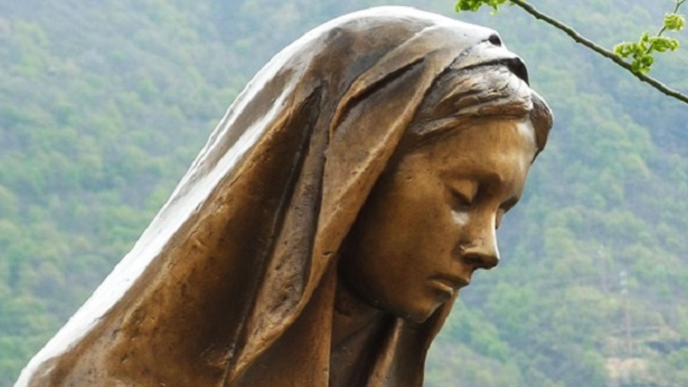 রোসানার করা ভিডিয়োতে দেখা যায়, মূর্তিটির মুখে একটি লাল তরল। দেখে মনে হচ্ছে যেন এই তরল মূর্তির চোখ থেকে বেরচ্ছে।