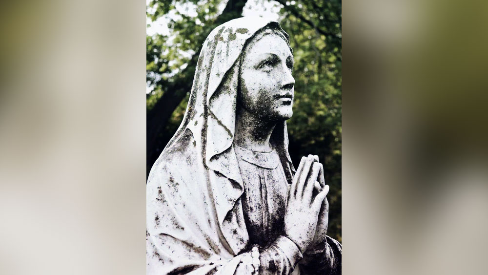 তবে এই মূর্তি প্রথম ‘রক্ত-কান্না’ শুরু করে ২০১৭ সালের এপ্রিল মাসে।