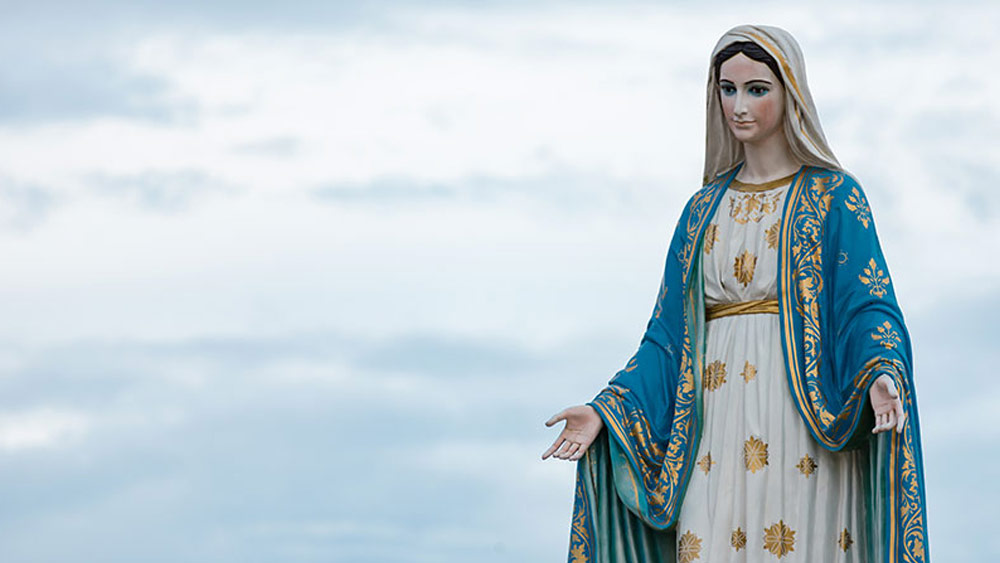 চার্চপপ নামক এক ওয়েবসাইটের অনুমান, মানুষকে চমক লাগাতে এই মূর্তিকে বিশেষ ভাবে বানানো হয়েছে। এই মূর্তির মুখে ইচ্ছে করে রক্ত ঘষে দেওয়া হত বলেও এই ওয়েবসাইটের অনুমান। যদিও ফ্রায়েস পরিবার এই তত্ত্বকে মানতে নারাজ।