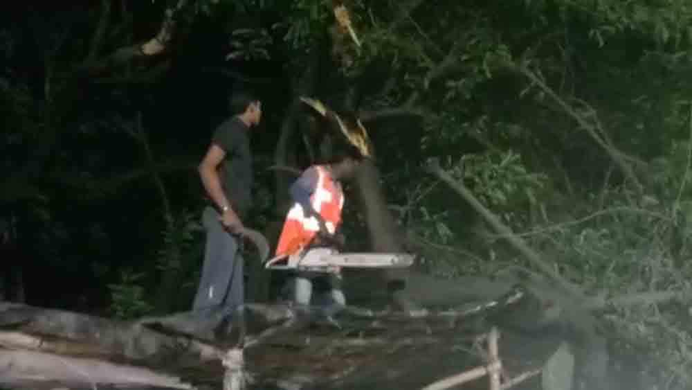 One civil defence staff inured falling from tree at Birbhum dgtld