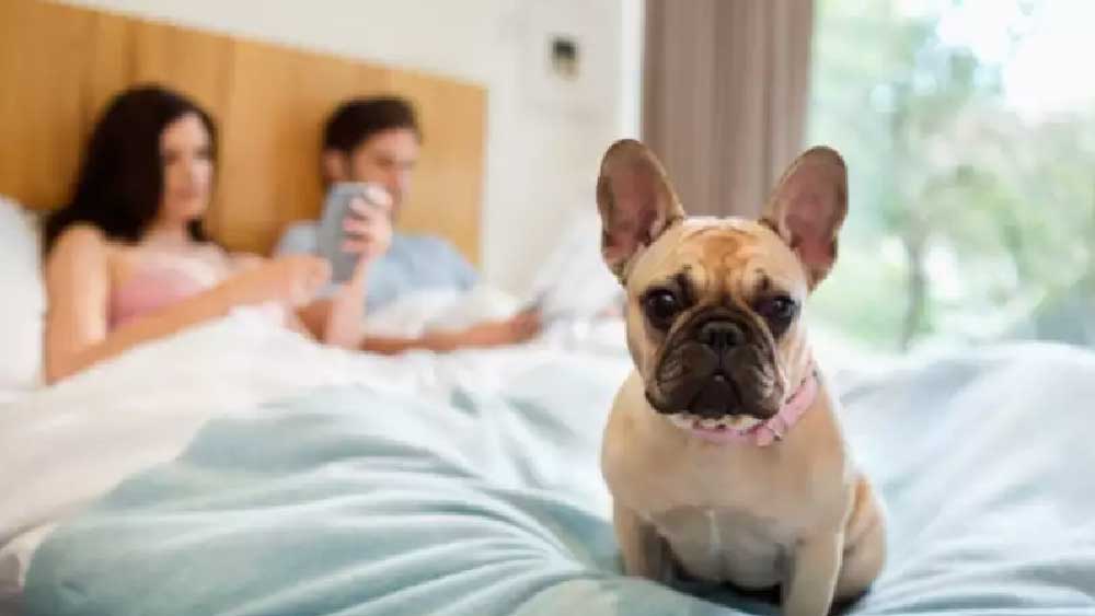 প্রতীকী ছবি।