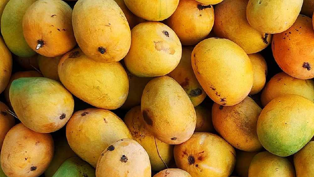 প্রতীকী ছবি।