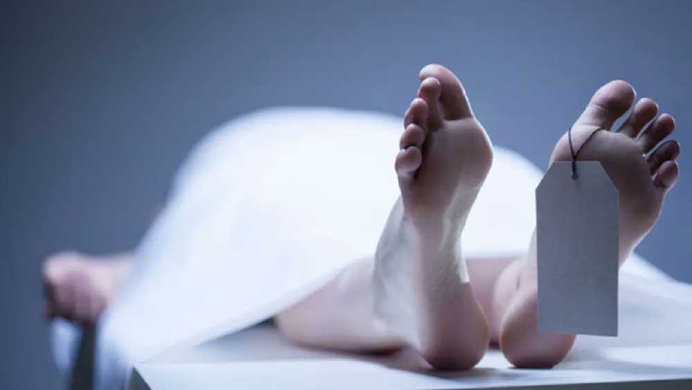 পুলিশ সূত্রে খবর, পল্লবীর প্রাথমিক ময়নাতদন্ত রিপোর্টে ইঙ্গিত যে, সেটি সম্ভবত আত্মহত্যাই। তবে পূর্ণাঙ্গ রিপোর্ট না পাওয়া পর্যন্ত নিশ্চিত ভাবে কিছু বলা যাচ্ছে না।