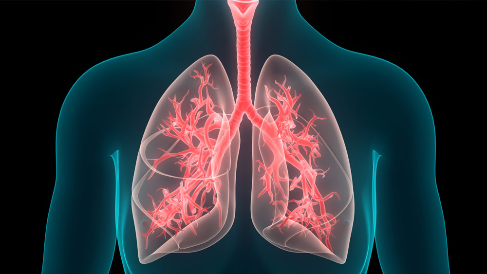 চেতনা বলেছিলেন, কেউ কিছু জিজ্ঞাসা করলে যেন বলা হয়, তিনি হৃদ্‌রোগে আক্রান্ত হয়ে মারা গিয়েছেন।