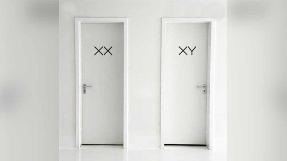এই ছবিতে দেখা যাচ্ছে শৌচালয়ের একটি দরজায় ইংরেজি বর্ণমালার ‘এক্স’ অক্ষরটি পাশাপাশি দু’বার লেখা আছে। অন্যটিতে এক্স-এর পাশে ওয়াই। আপনি যদি জীবনবিজ্ঞানে ভাল না হন, তা হলে আপনার কপালে রয়েছে হয়রানি। আসলে এগুলি দিয়ে মানুষের ক্রোমোজোম-এর প্রকার দেখানো হয়েছে। পুরুষদের জিনে থাকে এক্সওয়াই ক্রোম়জোম এবং মহিলাদের থাকে এক্সএক্স ক্রোমোজোম। আর সেই বিদ্যে কাজে লাগিয়েই বুঝতে হবে কোন শৌচালয়ে আপনি ঢুকবেন।