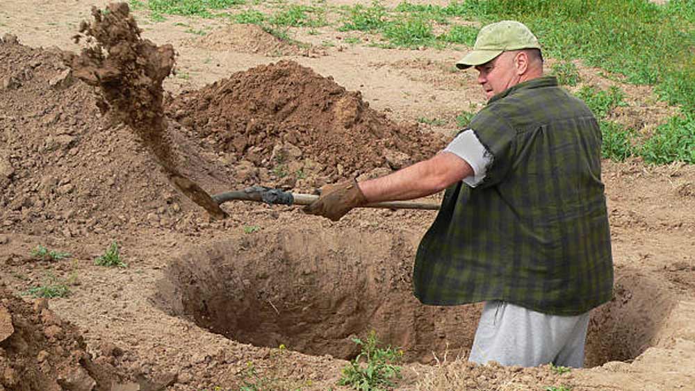 ব্রিটিশ চিত্রগ্রাহক এমিলি গ্রাহাম মূর্তি খুঁজে পেতে উৎসাহী বেশ কিছু মানুষের সঙ্গে তাঁদের অভিযানে সঙ্গ দেন। তিনি জানান, এই মূর্তি খুঁজে পেতে কিছু মানুষ যে পরিমাণ উদ্দীপনা দেখিয়েছেন তিনি তা অন্য কোনও কিছুতে কোনও দিন দেখেননি।