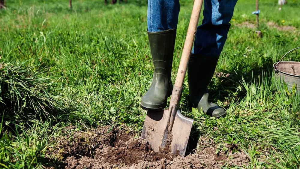 অনেকে আবার এই মূর্তির খোঁজে চাকরি-বাড়ি ছেড়ে ১১টি ধাঁধা সমাধানেই লেগে গিয়েছেন। ৭৮ বছর বয়সি অবসরপ্রাপ্ত ইঞ্জিনিয়ার যুভান ক্রোলেট শেষ ২০ বছর ধরে এই ধাঁধাগুলি সমাধানে মগ্ন।