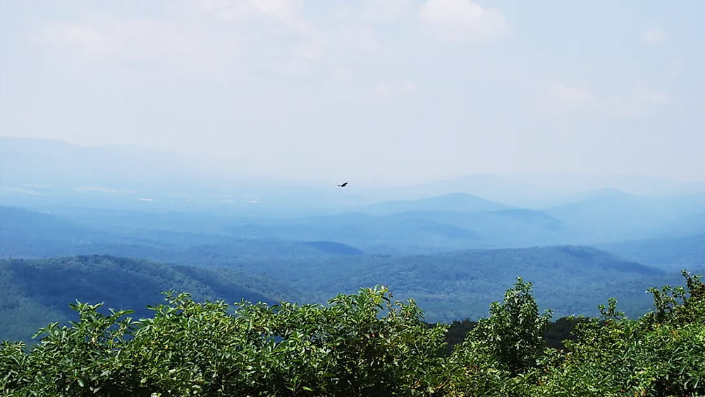ক্রোলেটের দাবি, তিনি এই ধাঁধাগুলি সমাধান করে নির্দিষ্ট ওই জায়গাটি খুঁজে পেয়েছেন। এই জায়গাটি ড্রোমের লুস-লা-ক্রোইক্স-হাউটের একটি পাহাড়ের ধারে বলে দাবি তাঁর। কিন্তু সেখানে অনেক খোঁজাখুজি করেও খালি হাতে ফিরতে হয়েছিল ক্রোলেটকে।