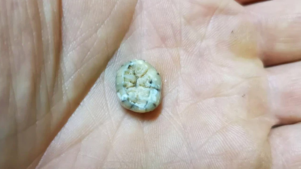 সম্প্রতি লাওসের একটি গুহায় এক লক্ষ ৩০ হাজার বছরের পুরনো একটি মানুষের দাঁত খুঁজে পেলেন বিজ্ঞানীরা। প্রাথমিক ভাবে এটি একটি শিশুর দাঁত বলে মনে করা হচ্ছে।