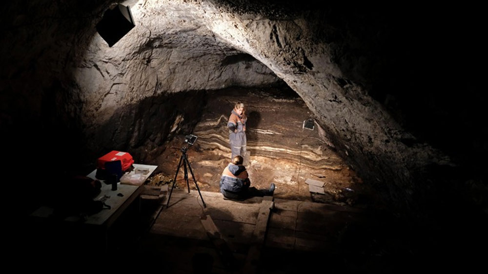 ২০১০ সালে সাইবেরিয়ার গুহায় কাজ করার সময় ডেনিসোভান শাখার খোঁজ পান গবেষকরা। এর আগে এই শাখার বিষয়ে বিজ্ঞানীদের কোনও ধারণা ছিল না। গুহার মধ্যে এক মহিলার আঙুলের হাড় খুঁজে বের করার সময় তাঁরা প্রথম এই শাখার খোঁজ পান।