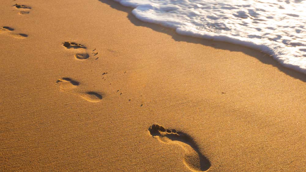 দাঁতের আকৃতি বিশ্লেষণ করার পর বিজ্ঞানীরা মনে করছেন এই দাঁত সম্ভবত ডেনিসোভান মানবের। এক লক্ষ ৩০ হাজার বছর থেকে এক লক্ষ ৬৪ হাজার আগে ডেনিসোভান মানবের অস্তিত্ব ছিল বলেও ধারণা বিজ্ঞানীদের।