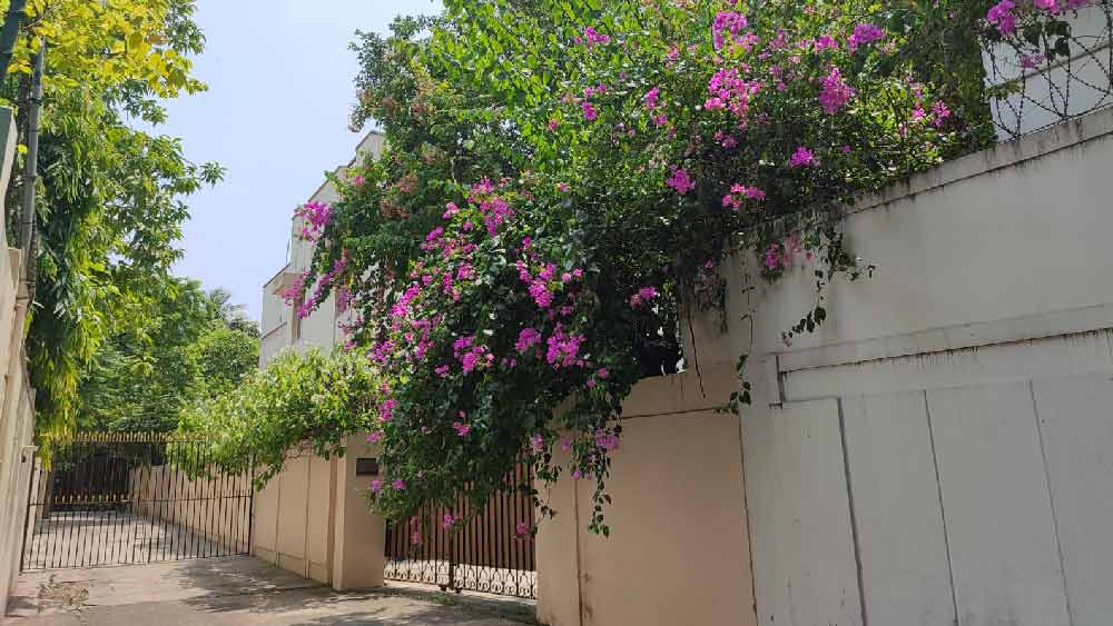 সেই বাড়িটি কেমন দেখতে? কী মিল রয়েছে আগের বাড়ির সঙ্গে? দেখল আনন্দবাজার অনলাইন।